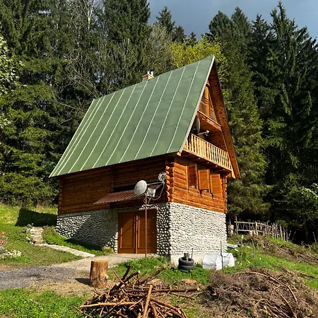 Retro Kubinska Chalet *