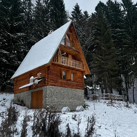 Retro Kubinska Chalet